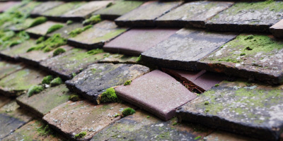 Corse Lawn roof repair costs